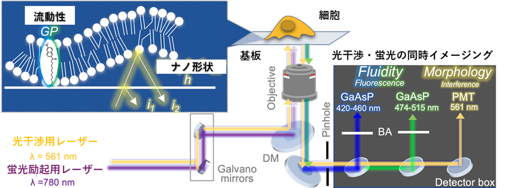 図１工学顕微法.png