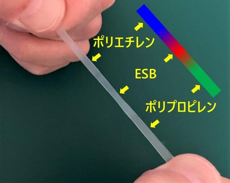 図1. ESBにより接合されたポリエチレンとポリプロピレン（左）とそのイメージ図（右）