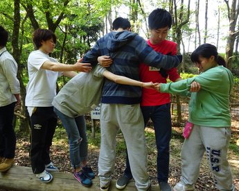 丸太から落ちずに順番を並び替え
