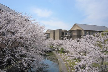 桜の滋賀県立大学