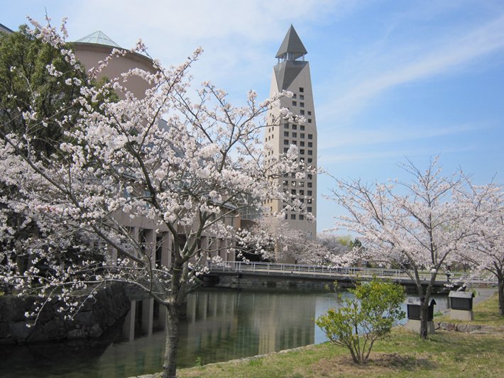 桜の滋賀県立大学